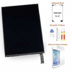 écran LCD iPad Mini pas cher