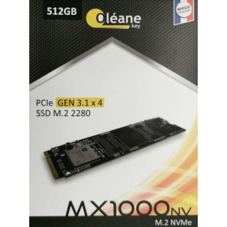 SSD OLEANE KEY FRENCH BRAND 2.5" MX1000 Nvme256Gb