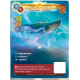 Kaibara, Leviathan Asgarthi (7-7-8) Unique Bravos Card - Altered TCG - KS Edition
