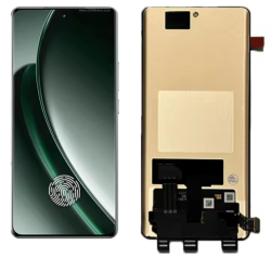 repair Screen Realme GT 6 / GT 6T