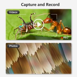 USB Digital Microscope 1600X &mdash; 8 LED 1080P