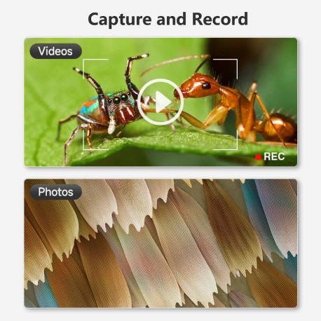 USB Digital Microscope 1600X — 8 LED 1080P