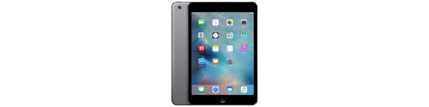 iPad Mini 2