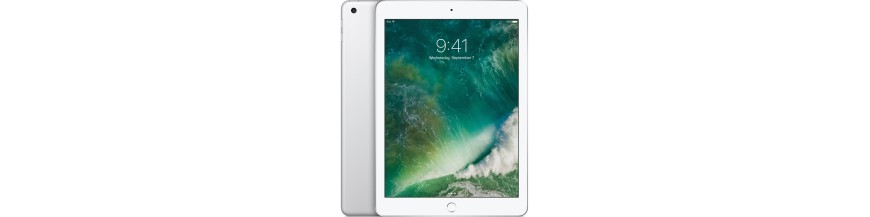 iPad 5 ( 2017 )